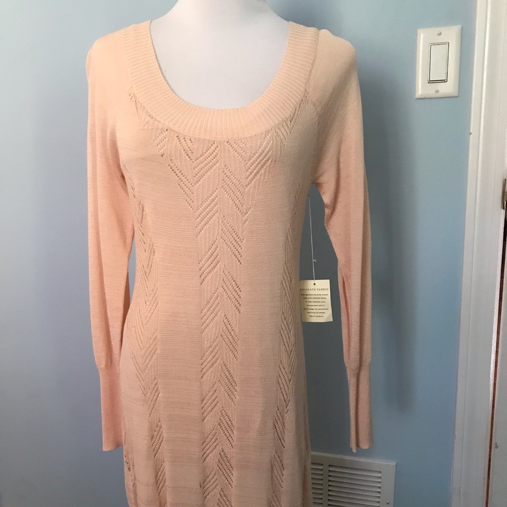 NWT Size S Victoria ‘s Secret Blush Dress